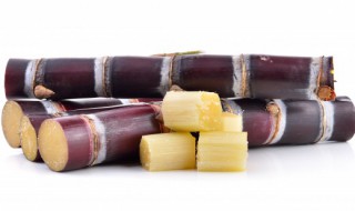 甘蔗的煮水方法 怎么用甘蔗煮水