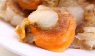 大粒扇贝肉怎么做 扇贝肉的家常做法