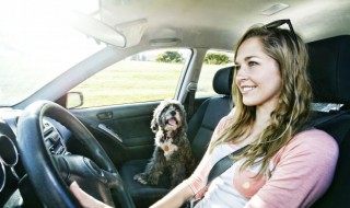 看着车窗外唯美句子 关于看着车窗外唯美说说