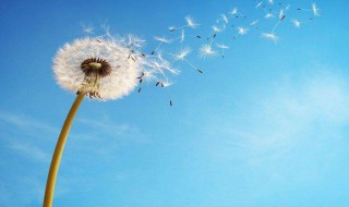 四季轮回的唯美句子 四季轮回的唯美句子列述