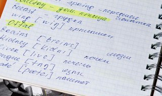 看书用英语怎么说 看书用英语如何说