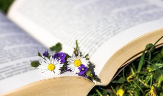 在业是什么意思 在业解释