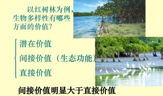 生物多样性的直接价值和间接价值的区别 生物多样性的直接价值和间接价值的区别介绍