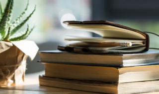 世风日下是什么意思 世风日下的解释