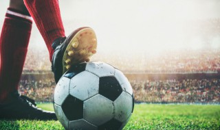 历年足球的资料 足球简单介绍