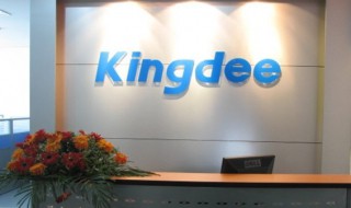 金蝶公司简介 金蝶有限公司介绍