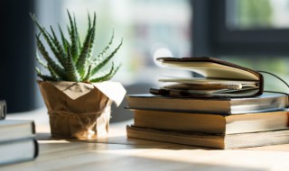 春风送暖入屠苏的入是什么意思 春风送暖入屠苏的原文及翻译