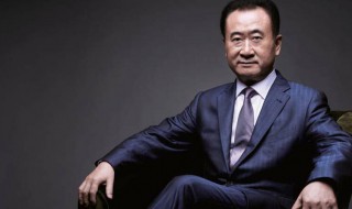 王健林简介 关于王健林简介