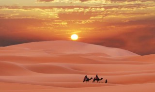 撒哈拉沙漠简介 撒哈拉沙漠的介绍是什么