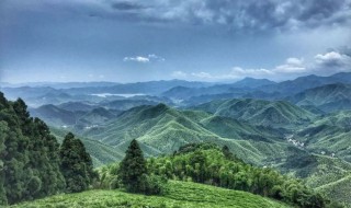 莫干山简介 莫干山的介绍