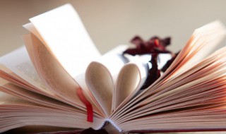 东宫简介 东宫小说介绍