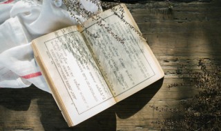 唐朝诗人王维的简介 诗人王维的简介