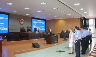 案情简介怎么写 案情简介范文