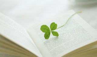 四怎么读 四如何读