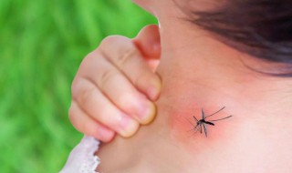 如何止痒最有效的方法 止痒有效的方法