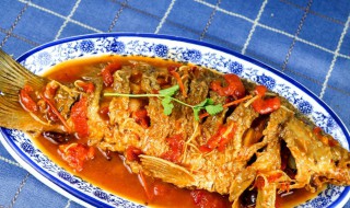 红烧鱼怎么做法 红烧鱼块家常做法分享