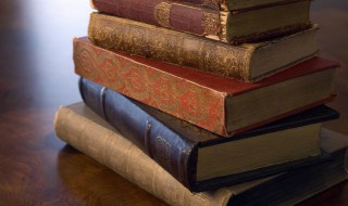 政府购买岗位什么意思 政府购买岗位解释