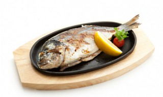 嘴巴尖尖的鱼叫什么鱼 哪种鱼嘴巴尖尖的