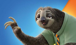 有树懒的动画叫什么名字 有树懒的动画是什么