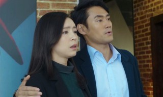 秦岚演的蔡春妮叫什么电祝剧 秦岚演的蔡春妮的电祝剧简介