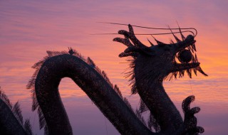 龙有九个儿子分别叫什么 龙的儿子叫什么