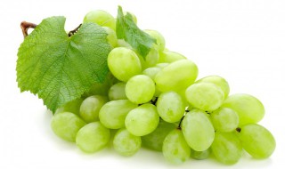 很贵绿色的葡萄叫什么 很贵绿色的葡萄是叫什么的
