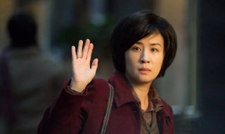 吴君如演的的电影叫什么神偷 吴君如个人介绍