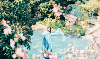 南拥夏栀北梦木兮意思 关于南拥夏栀北梦木兮意思