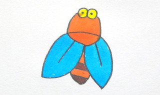 比知了小的叫什么 比知了小的动物