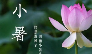 小暑又叫什么 小暑介绍