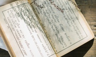 廋耳在古代文言文中的意思 廋耳在古代文言文中是什么意思