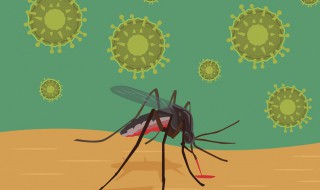 怎么防蚊子 防蚊子的方法