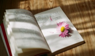 不知者无畏 知而深深畏的意思 不知者无畏知而深深畏的解释