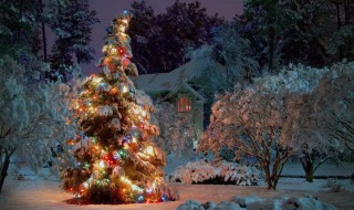 平安夜英语怎么说 平安夜英语如何说