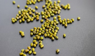 绿豆冬瓜排骨汤要多长时间 绿豆冬瓜排骨汤的做法与时间