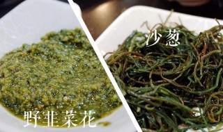 沙葱是韭菜吗 沙葱是不是韭菜