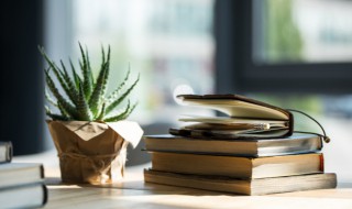 精忠报国是什么意思 精忠报国的意思