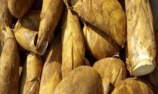 冬季怎样储存冬笋 动点小心思天天吃新鲜冬笋