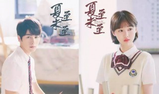 夏至未至的意思 夏至未至什么意思