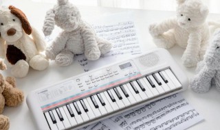 钢琴是打击乐还是弦乐 钢琴是打击乐吗