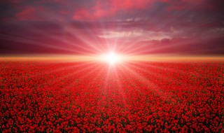 形容风景优美的短句 形容风景优美的短句有哪些