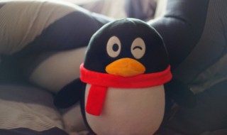 QQ群怎样设置副群主 QQ群设置副群主的方法