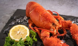 龙虾死了怎么保存 龙虾死了保存的方法