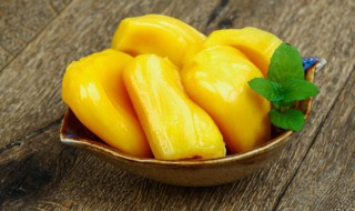 怎样的菠萝蜜肉才算坏了 如何判断菠萝蜜肉是不是坏的