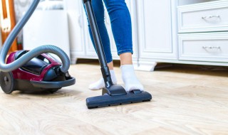 消除小黄家蚁有哪些小妙招 消除小黄家蚁的做法