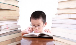 夏洛特的网简介 夏洛的网主要内容简介