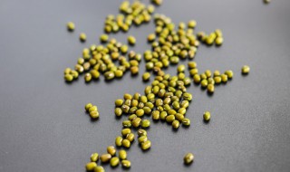 怎样知道绿豆坏了 如何判断绿豆坏没坏