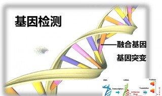 什么叫融合基因 融合基因介绍