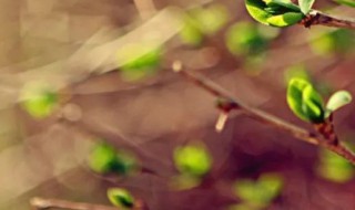 采光是什么意思 采光是什么