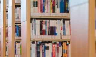 人文性是什么意思 人文性解释